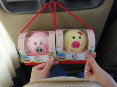 -菊园百果园