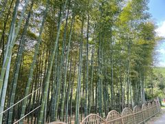 -龙寺生态园