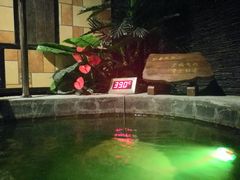 -泉城欧乐堡戏水湾艺术养生温泉