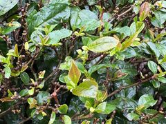 -敬亭山风景名胜区