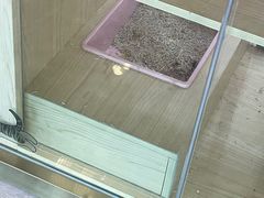 -爪爪喵星球·猫舍(前海卓越店)