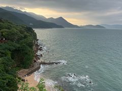 -杨梅坑