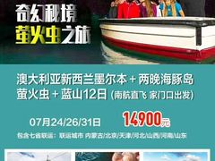 -怀托摩萤火虫洞