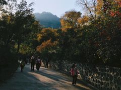 -北京鹫峰国家森林公园