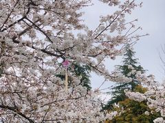 -堤角公园