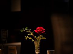 -MIO弥欧洋房西餐厅(中央大街店)