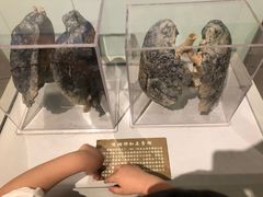 -陕西自然博物馆