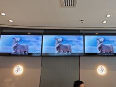-蝎王府羊蝎子(西直门店)