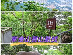 -紫金山山顶公园
