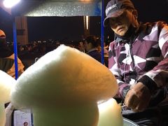 -南湖大桥
