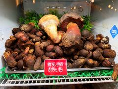 -太婆天府山珍酒楼(亚运村店)