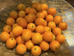 -桃花源中餐厅(金茂豪华精选酒店)