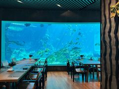 -涛·海底餐厅·美人鱼·自助餐·海底隧道(三亚海棠湾洲际度假酒店)