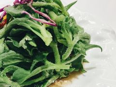 -宝燕壹号(徐汇店)