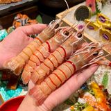 日料自由🍣悦竹吟开到济南万象城了！
