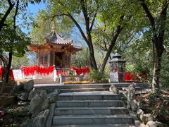 -高尔山公园
