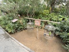 -南宫五洲植物乐园