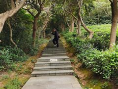 -桃花岛风景旅游区