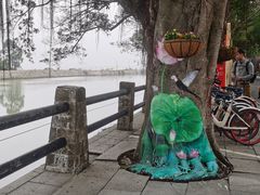 -大湾区中央湿地公园