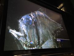 -同济大学四平路校区深海探索馆