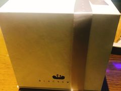 -BLACKSWAN黑天鹅(环球店)
