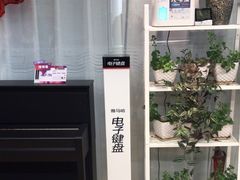 -雅马哈钢琴专卖店盛世雅歌琴行·电钢琴城·钢琴培训(翠微路店)