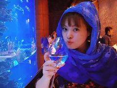 -迪拜帆船酒店海底餐厅