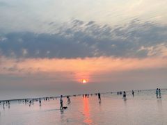 -南汇嘴观海公园