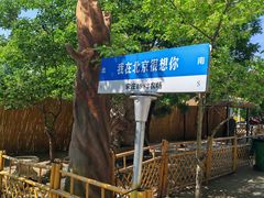 -1982农场