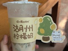 -猫的魔法密林(衣裳街店)