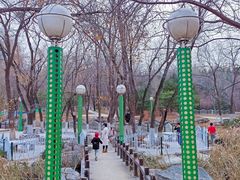 -滨河世纪广场公园