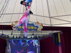 -史努比缤纷世界