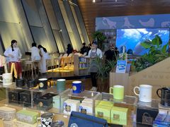-抱抱地球咖啡馆(国家海洋博物馆店)