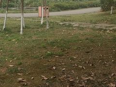 -白鹭湾湿地公园