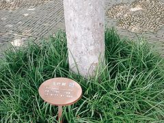 -上海方塔园