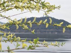-青山湖景区