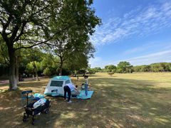 -艾溪湖湿地公园