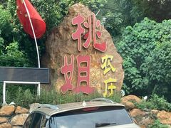-桃姐农庄老字号(从化温泉店)