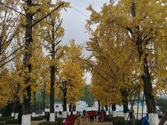 -百林公园-两江幸福广场