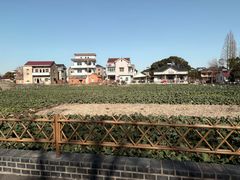 -思源鱼庄