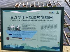 -华侨城湿地公园