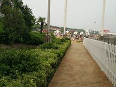 -碧海金沙