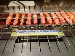 呼伦贝尔羊肉串-很久以前羊肉串(朝阳路店)
