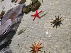 -福州罗源湾海洋世界旅游区