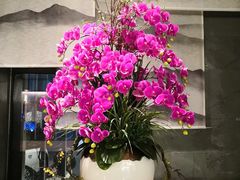 -澜海温泉度假酒店