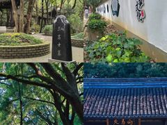 -上海佘山国家森林公园天马山园