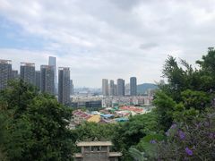 -小南山公园