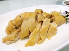 白斩鸡-金时代顺风大酒店(协泰店)