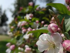 -玄武湖景区-情侣园游乐场