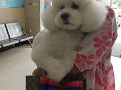 -康旭宠物医院(郑州总院)